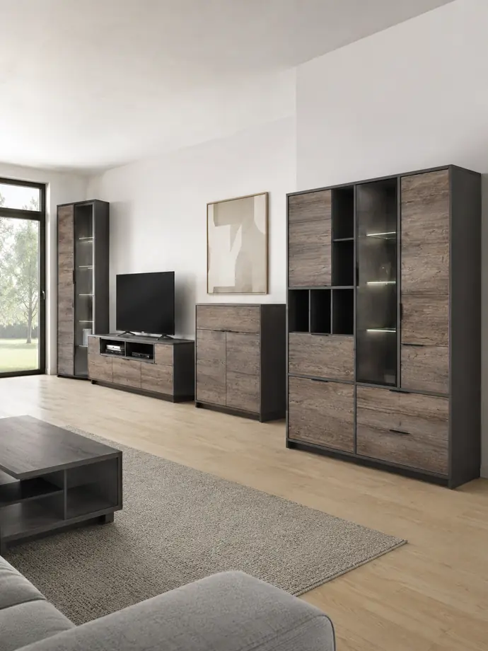 TV cabinet, shoe cabinet, wardrobe and storage furniture
